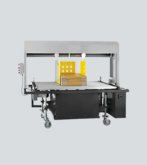 In Line Box Automatic Strapping Machine Manufacturers in Chennai